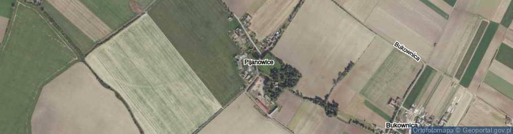 Zdjęcie satelitarne Pijanowice ul.