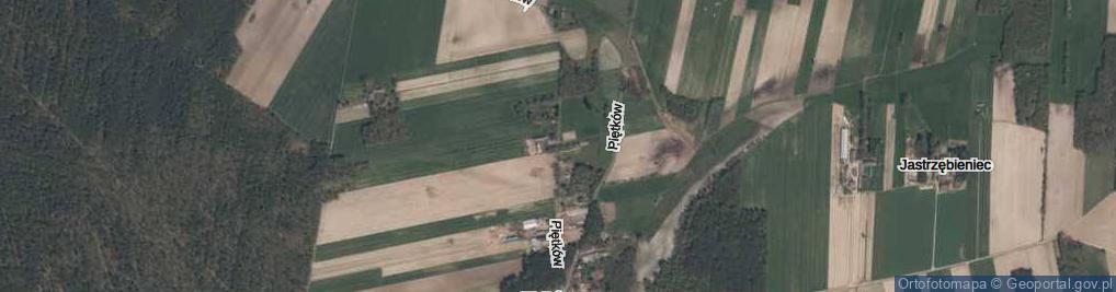 Zdjęcie satelitarne Piętków ul.