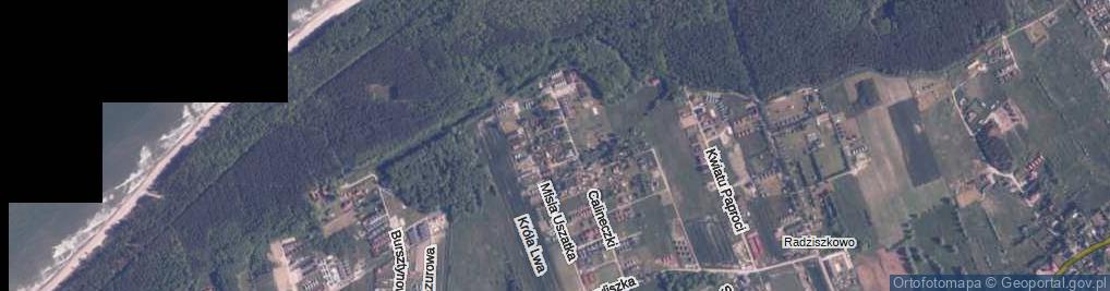 Zdjęcie satelitarne Pinokia ul.