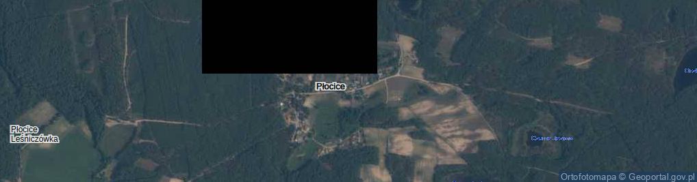 Zdjęcie satelitarne Płocice ul.