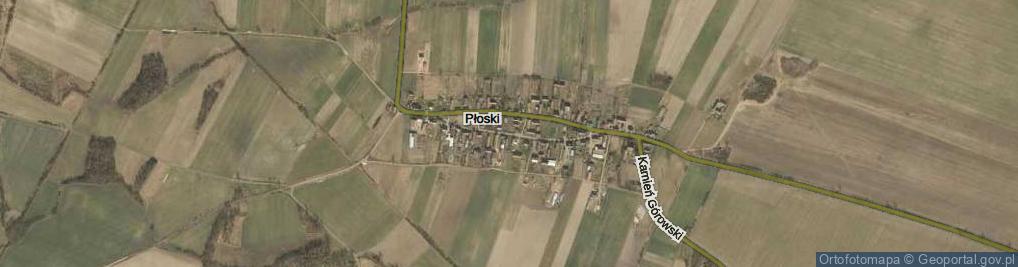 Zdjęcie satelitarne Płoski ul.
