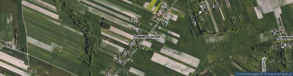Zdjęcie satelitarne Pniewo-Kolonia ul.