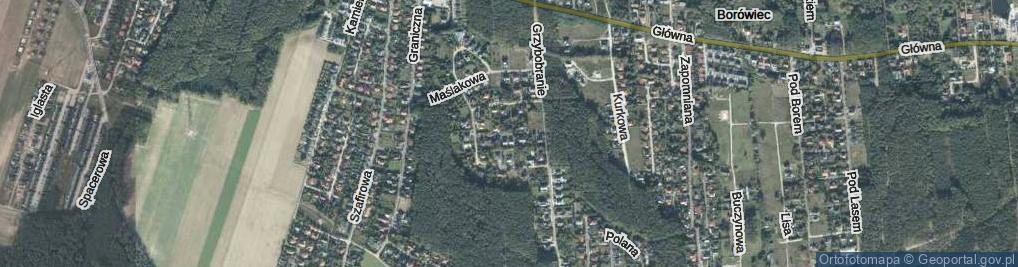 Zdjęcie satelitarne Podgrzybkowa ul.