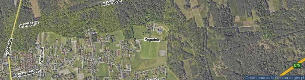 Zdjęcie satelitarne Pogodna ul.