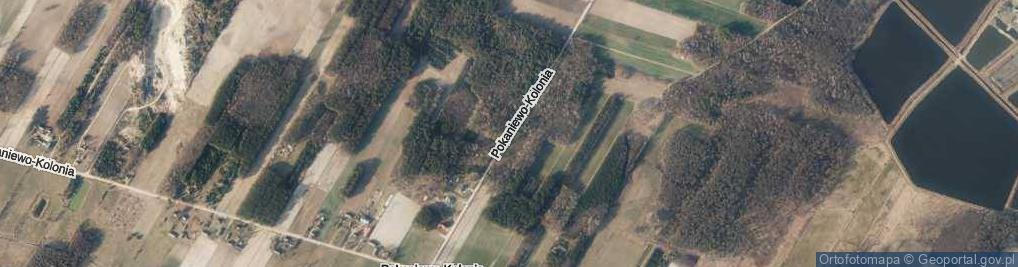 Zdjęcie satelitarne Pokaniewo-Kolonia ul.