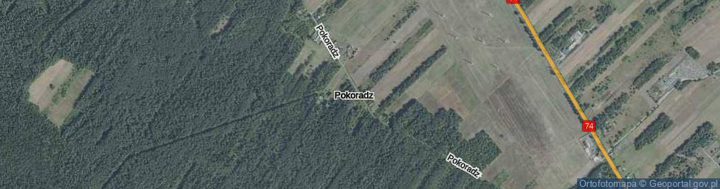 Zdjęcie satelitarne Pokoradz ul.