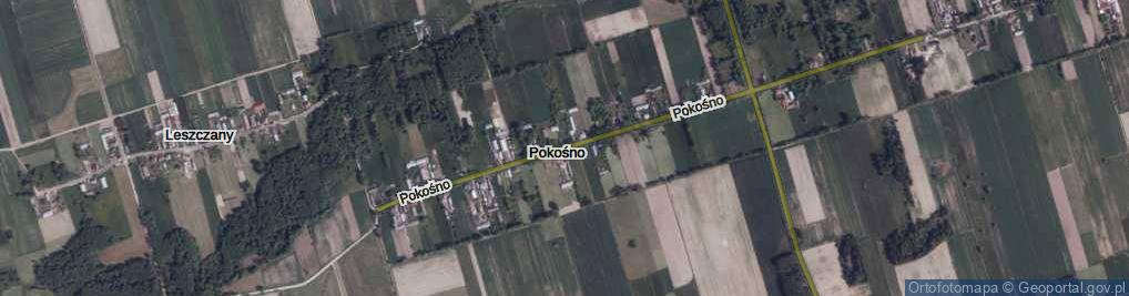Zdjęcie satelitarne Pokośno ul.