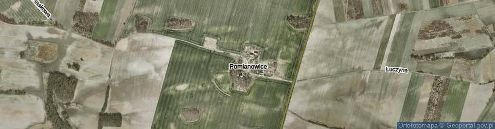 Zdjęcie satelitarne Pomianowice ul.