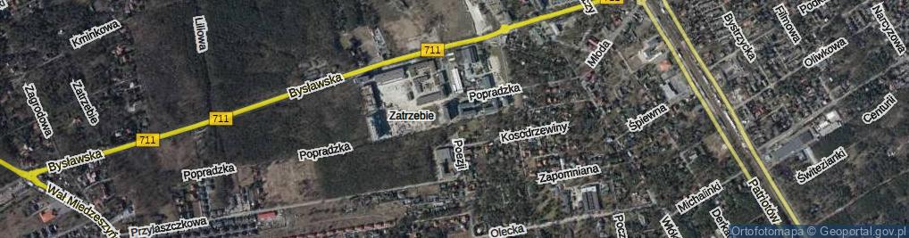 Zdjęcie satelitarne Poezji ul.