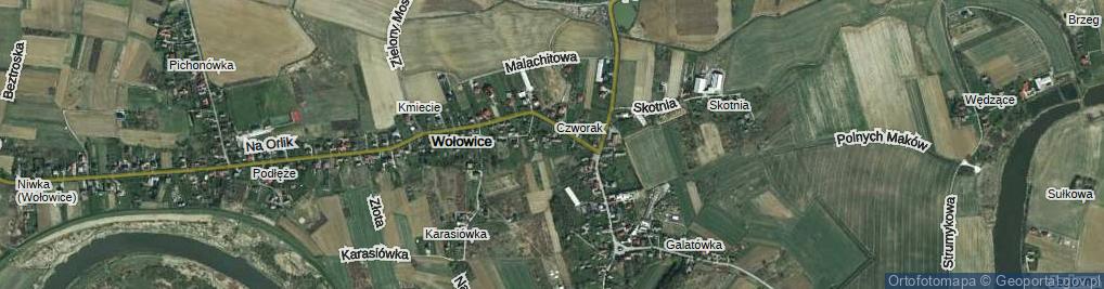 Zdjęcie satelitarne Pod Wierzbami ul.