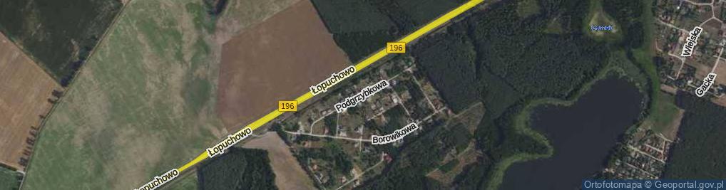 Zdjęcie satelitarne Podgrzybkowa ul.
