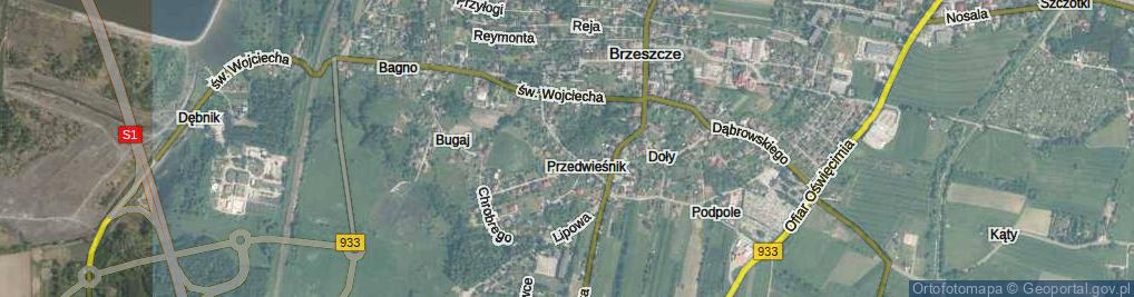 Zdjęcie satelitarne Przedwieśnik ul.