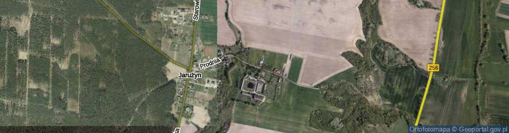 Zdjęcie satelitarne Prodnia ul.