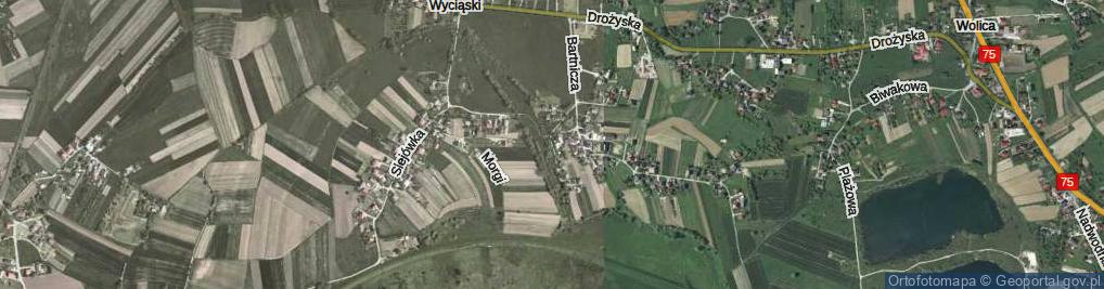 Zdjęcie satelitarne Przylasek ul.