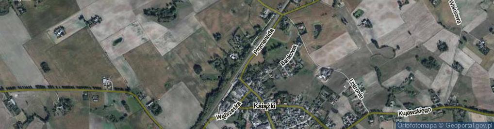 Zdjęcie satelitarne Promenada ul.