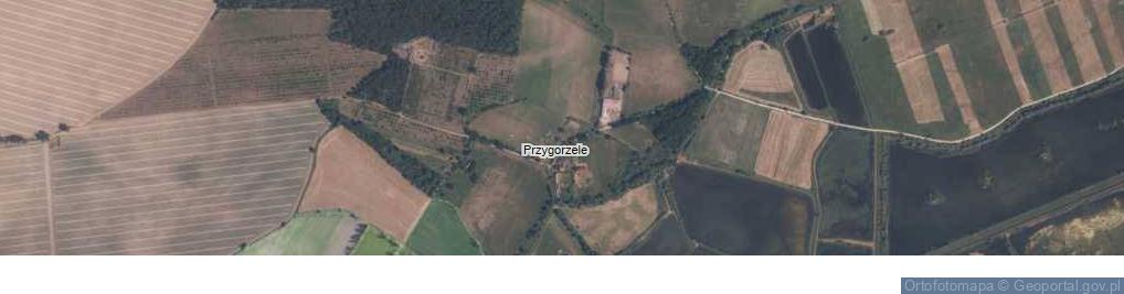 Zdjęcie satelitarne Przygorzele ul.