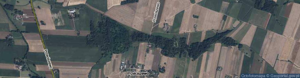 Zdjęcie satelitarne Przeciszewo ul.
