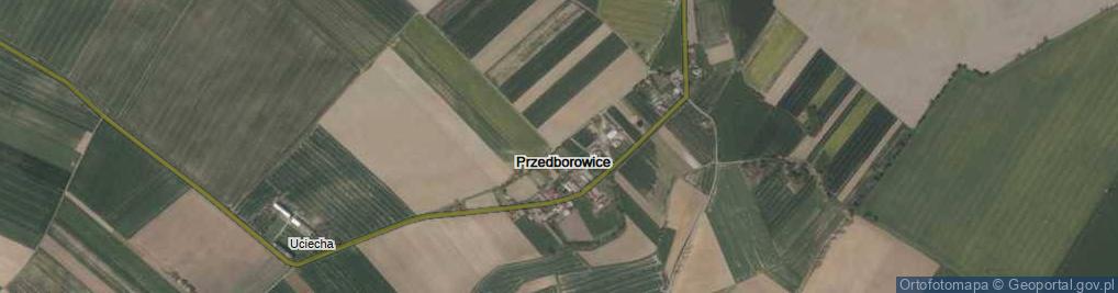 Zdjęcie satelitarne Przedborowice ul.