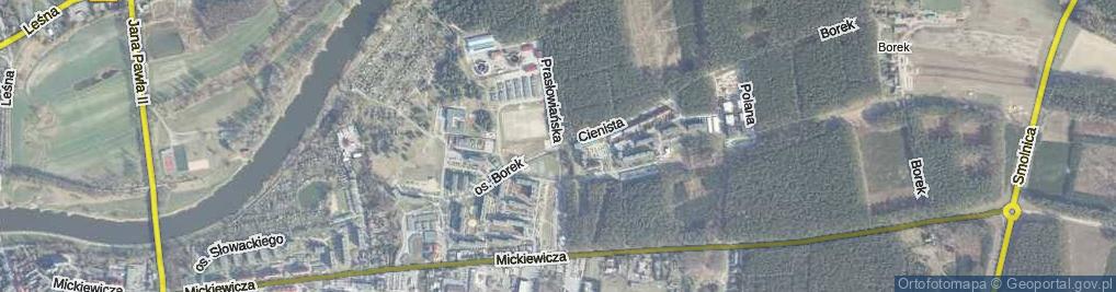 Zdjęcie satelitarne Prasłowiańska ul.