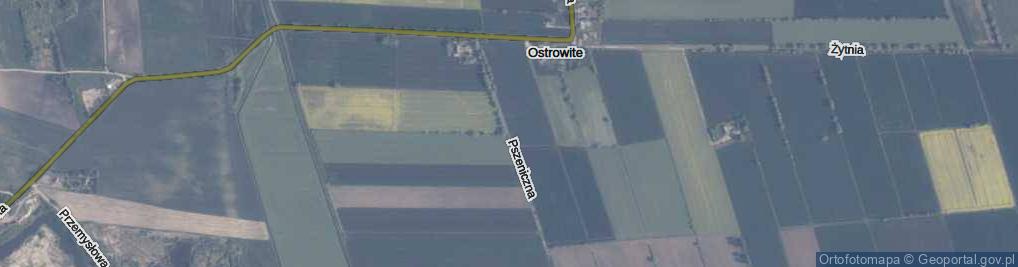 Zdjęcie satelitarne Pszeniczna ul.