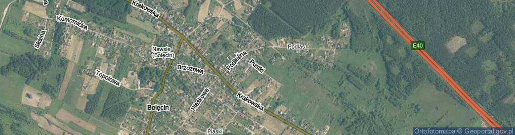 Zdjęcie satelitarne Pustki ul.