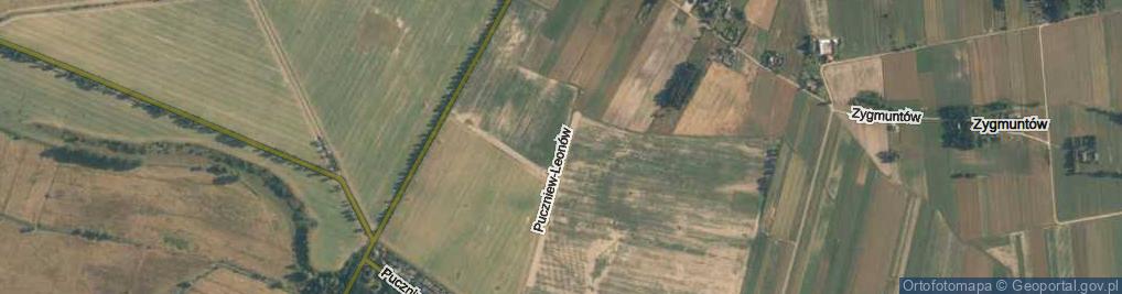 Zdjęcie satelitarne Puczniew-Leonów ul.