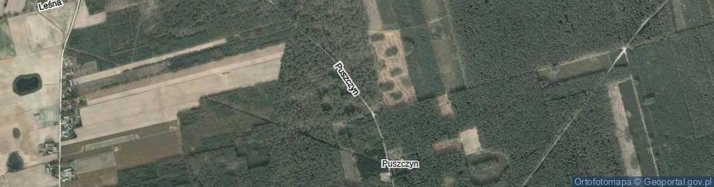 Zdjęcie satelitarne Puszczyn ul.