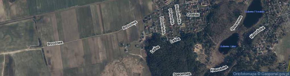 Zdjęcie satelitarne Pyrzycka ul.