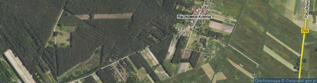 Zdjęcie satelitarne Raczkowice-Kolonia ul.