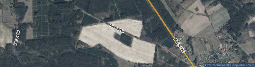 Zdjęcie satelitarne Radomicko ul.