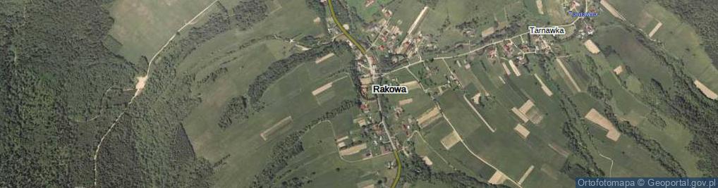 Zdjęcie satelitarne Rakowa ul.