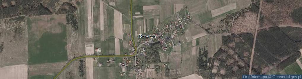 Zdjęcie satelitarne Raszowa ul.