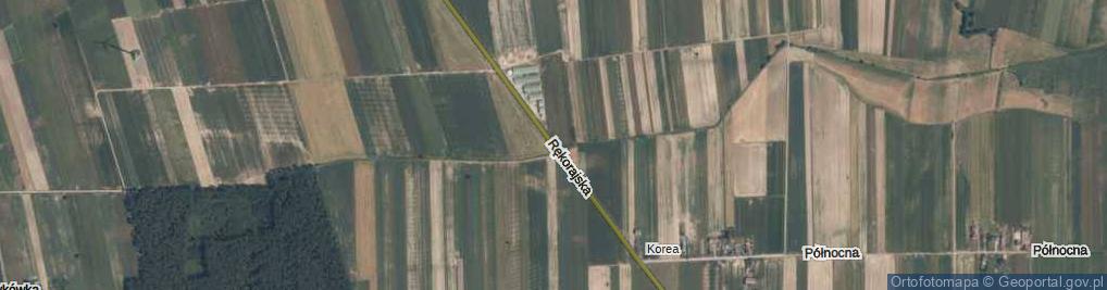 Zdjęcie satelitarne Rękorajska ul.