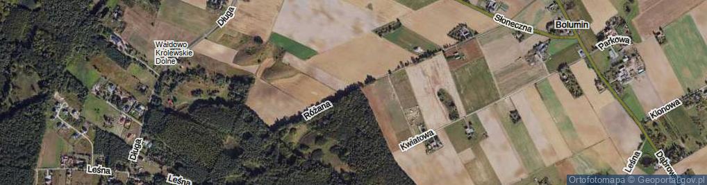 Zdjęcie satelitarne Różana ul.