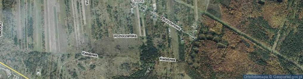 Zdjęcie satelitarne Roztoczańska ul.
