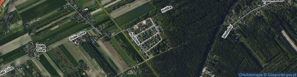 Zdjęcie satelitarne Różana ul.