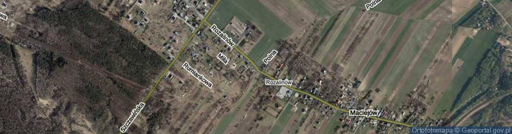 Zdjęcie satelitarne Rozalinów ul.