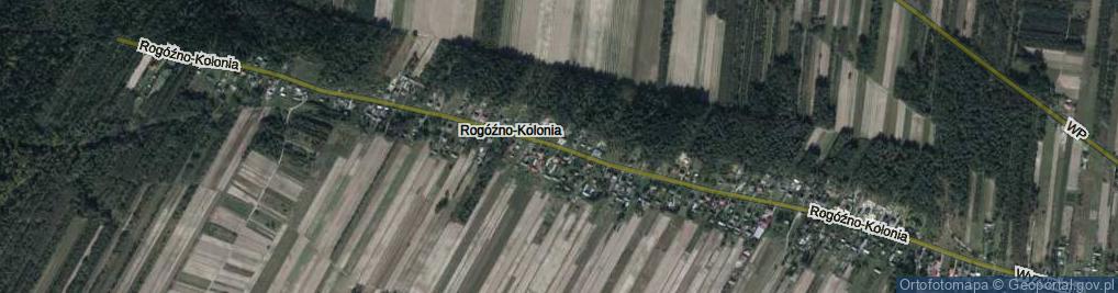 Zdjęcie satelitarne Rogóźno-Kolonia ul.