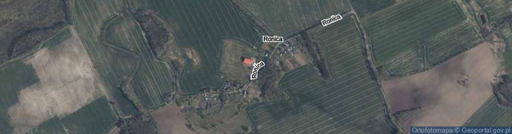 Zdjęcie satelitarne Ronica ul.