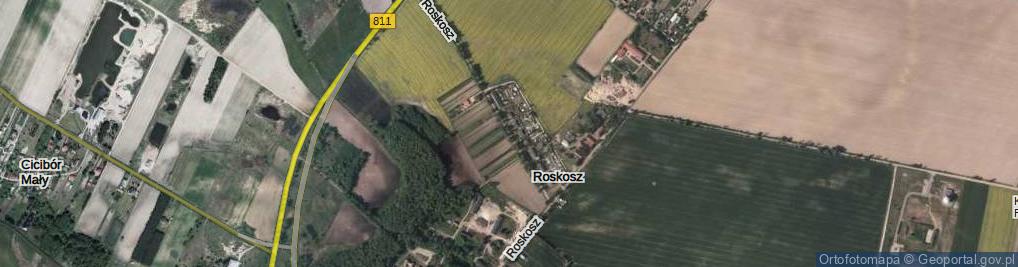 Zdjęcie satelitarne Roskosz ul.