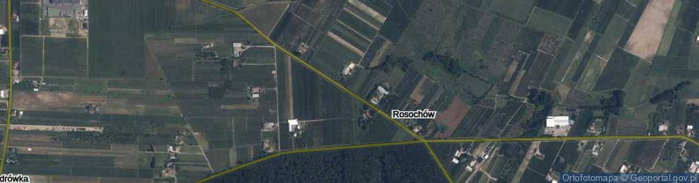 Zdjęcie satelitarne Rosochów ul.