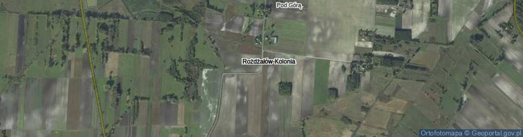 Zdjęcie satelitarne Rożdżałów-Kolonia ul.