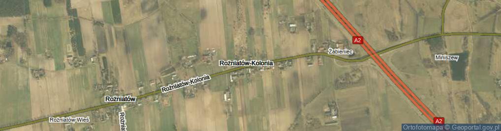 Zdjęcie satelitarne Rożniatów-Kolonia ul.
