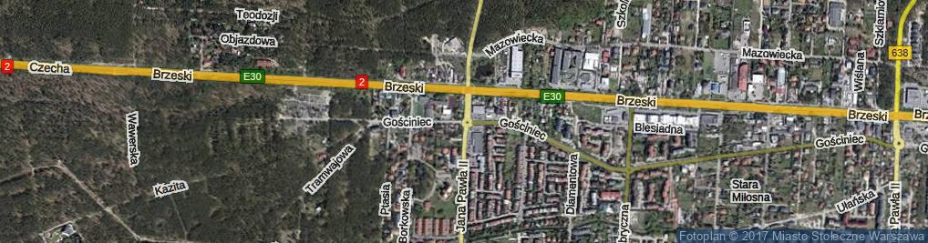 Zdjęcie satelitarne Rondo Witkowskiego Stanisława, ks. rondo.