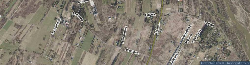 Zdjęcie satelitarne Rumiankowa ul.