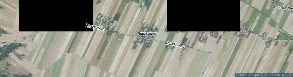Zdjęcie satelitarne Ruszkowiec ul.
