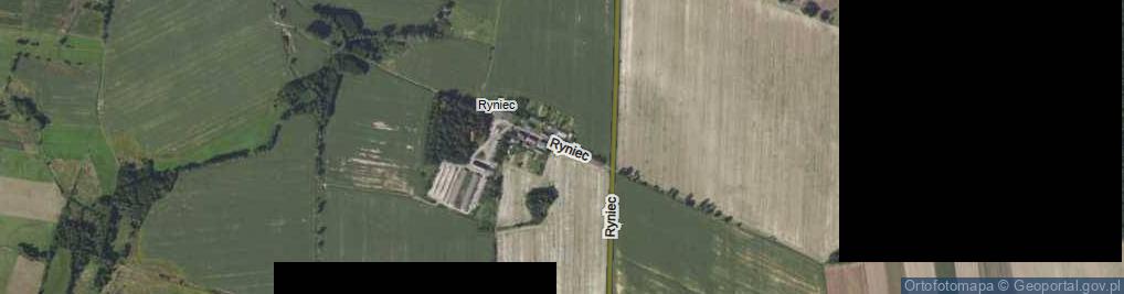 Zdjęcie satelitarne Ryniec ul.