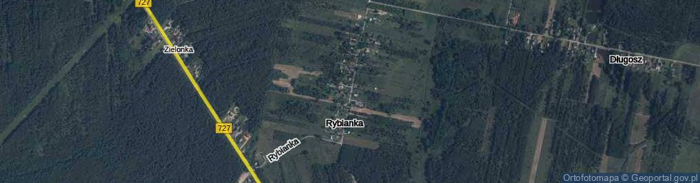 Zdjęcie satelitarne Rybianka ul.
