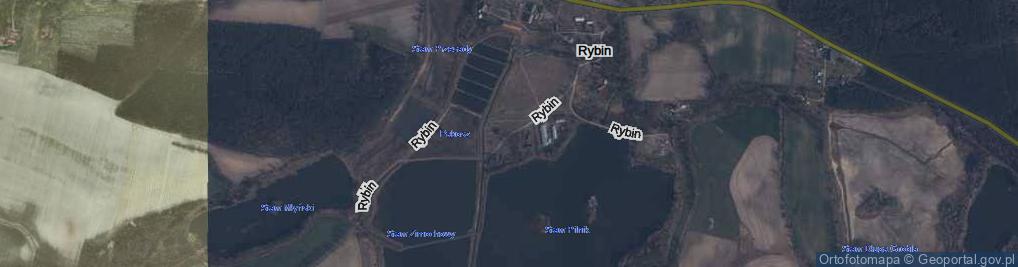 Zdjęcie satelitarne Rybin ul.