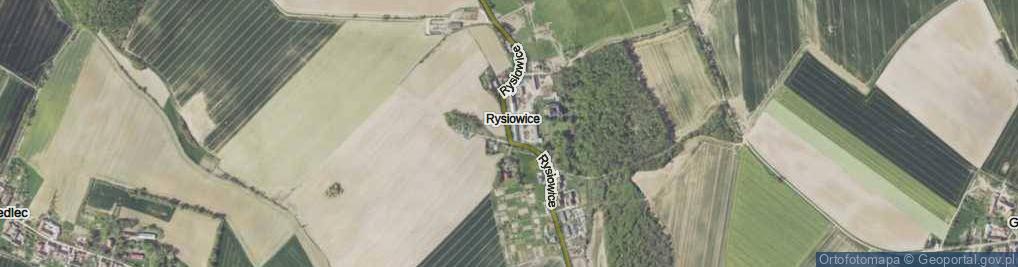 Zdjęcie satelitarne Rysiowice ul.